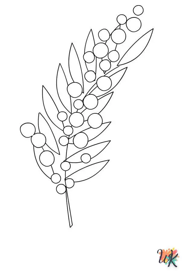 Mimosa 11 Disegni da Colorare Mimosa 9